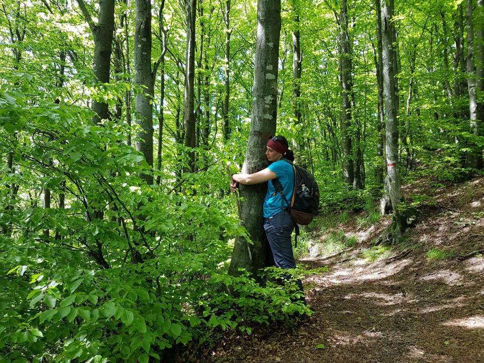 Walk Into My Story - Via degli Dei