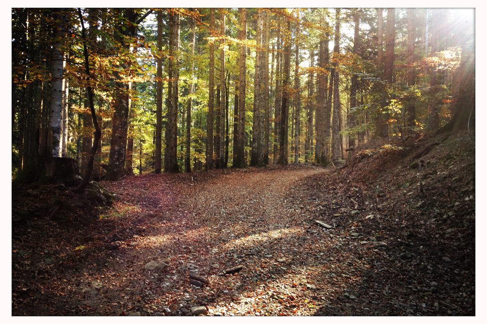 Walk Into My Story - Via degli Dei