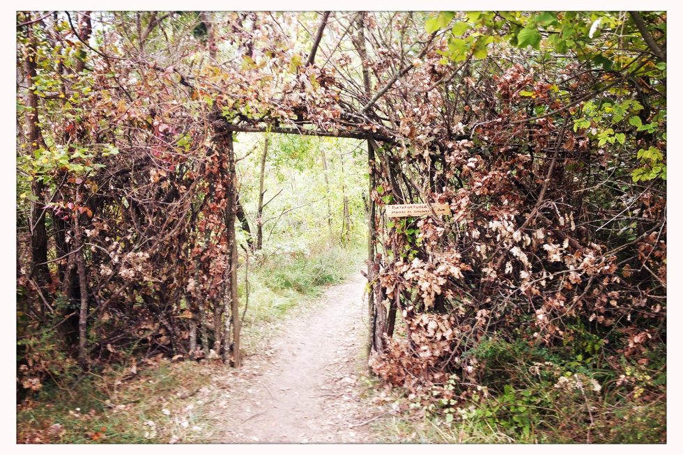 Walk Into My Story - Via degli Dei