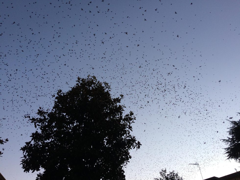 Walk Into My Story - Via degli Dei