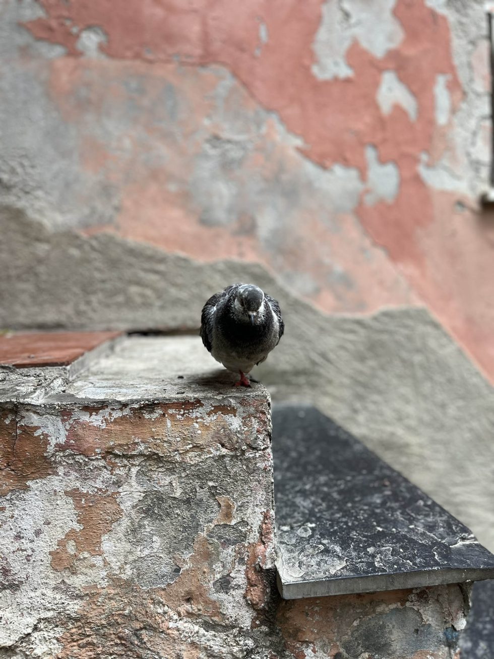 Walk Into My Story - Cinque Terre