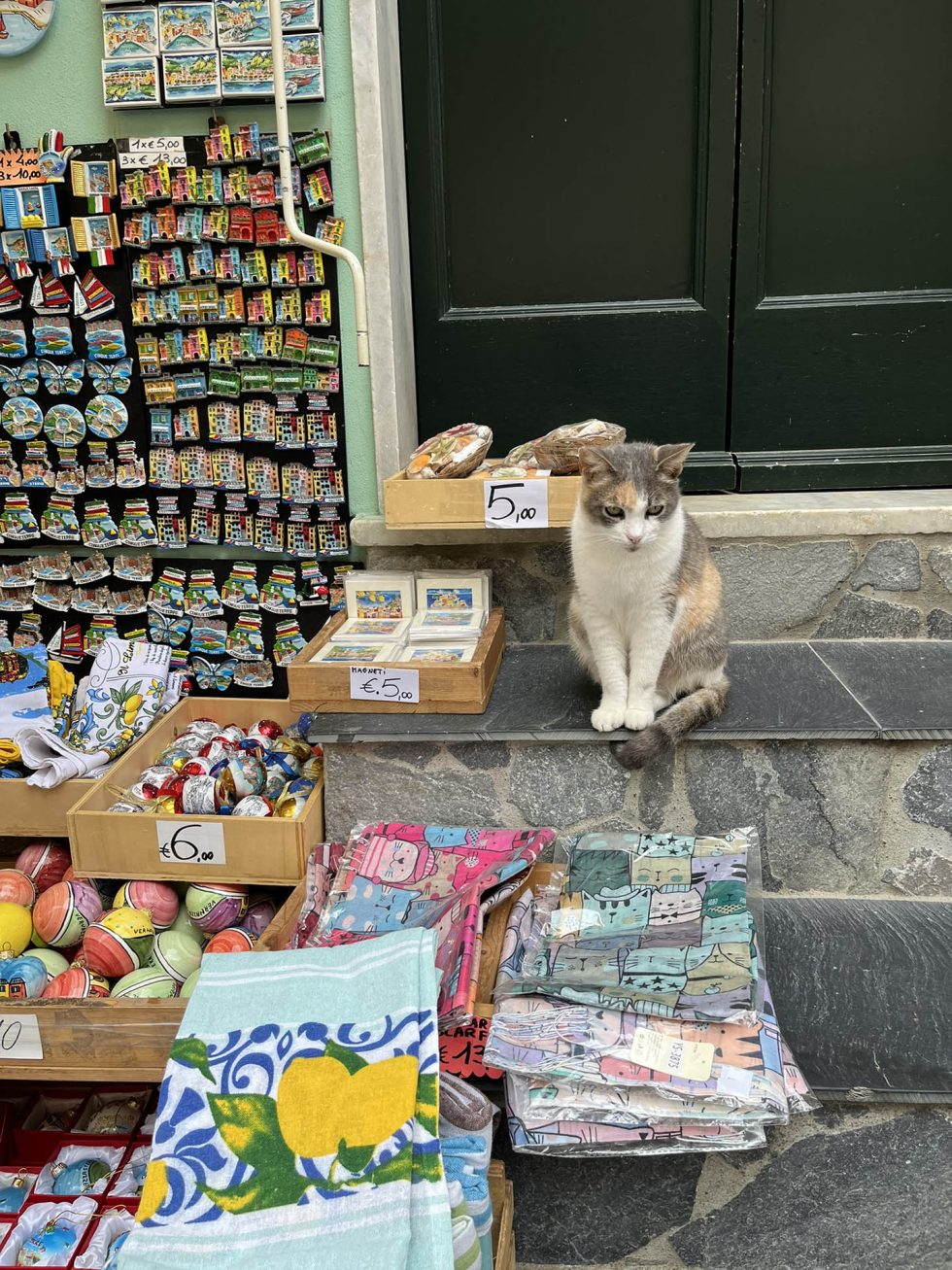 Walk Into My Story - Cinque Terre