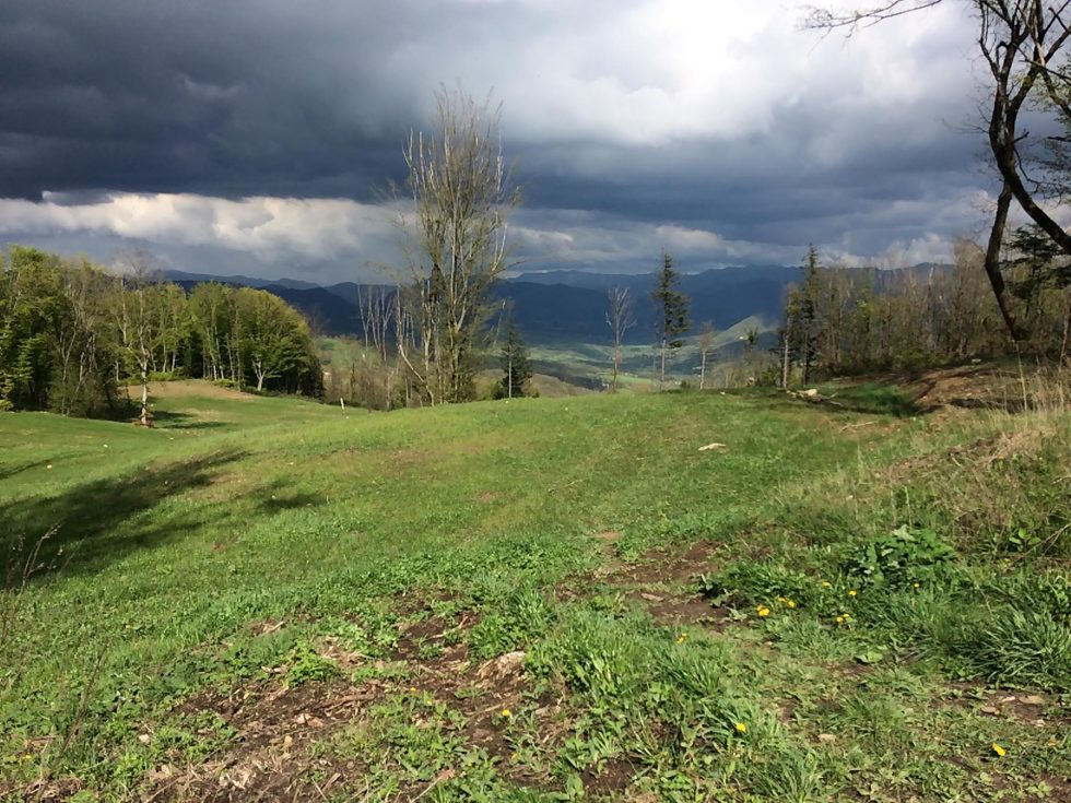 Walk Into My Story - Via degli Dei