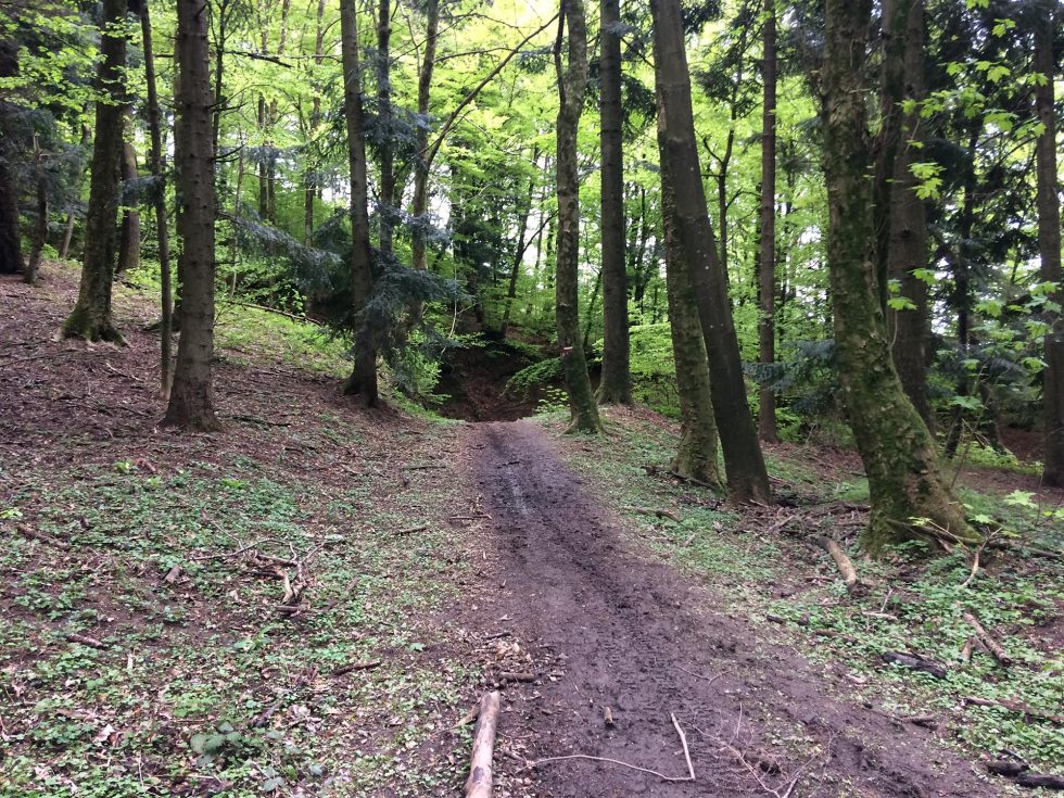 Walk Into My Story - Via degli Dei