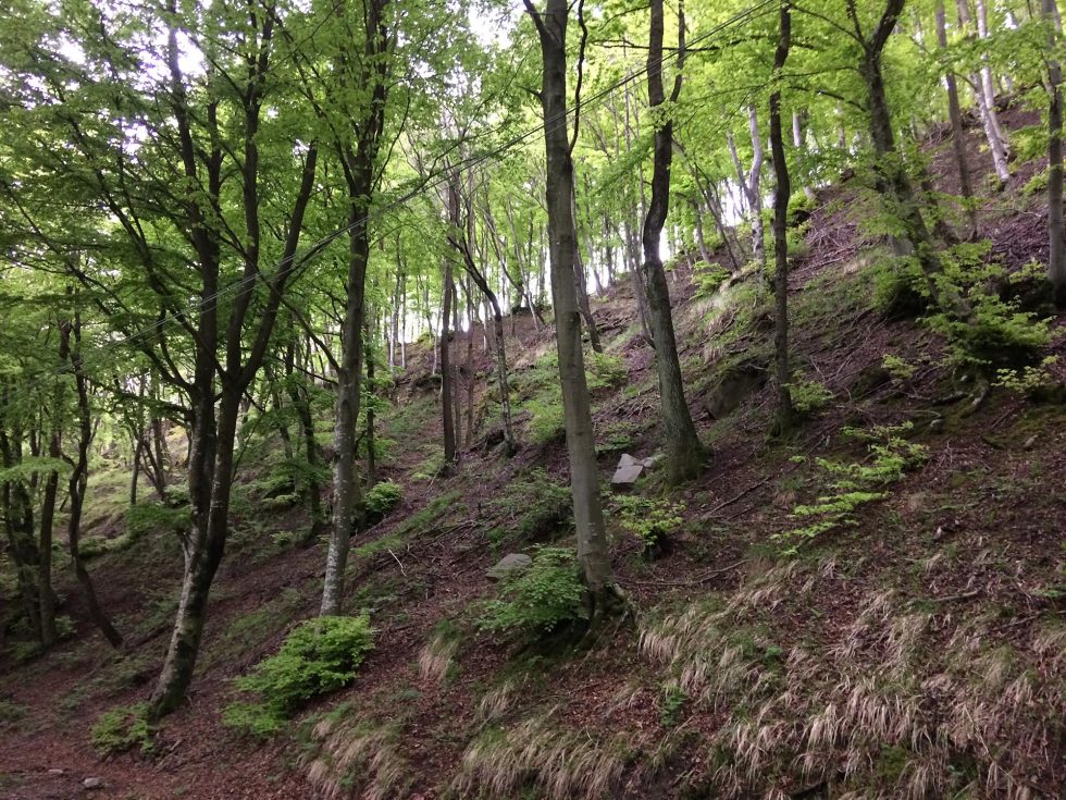 Walk Into My Story - Via degli Dei