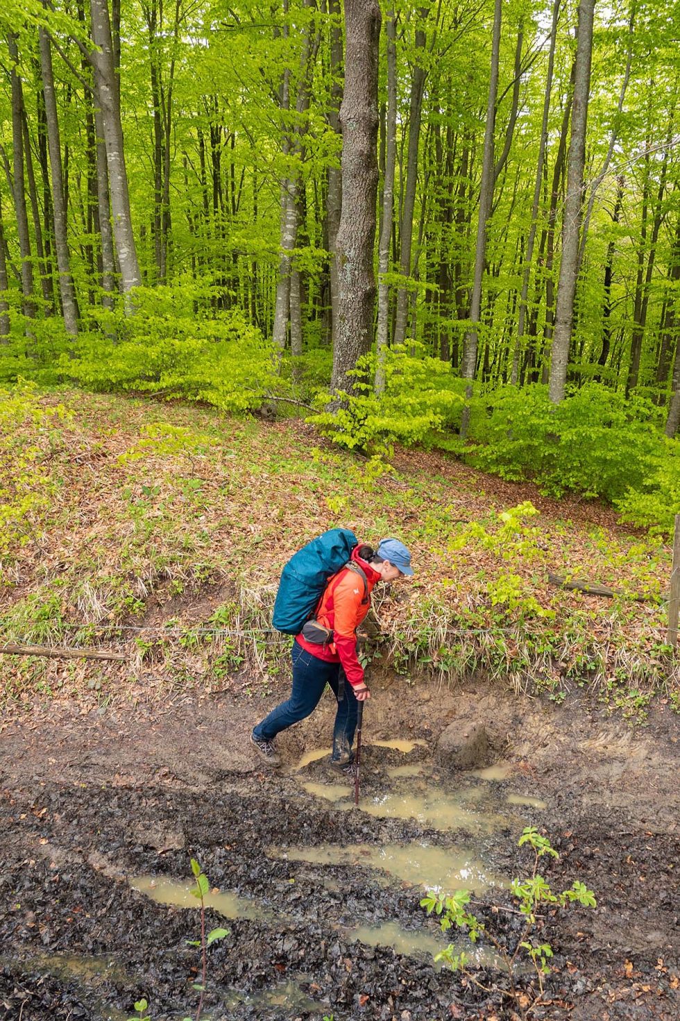 Walk Into My Story - Via degli Dei