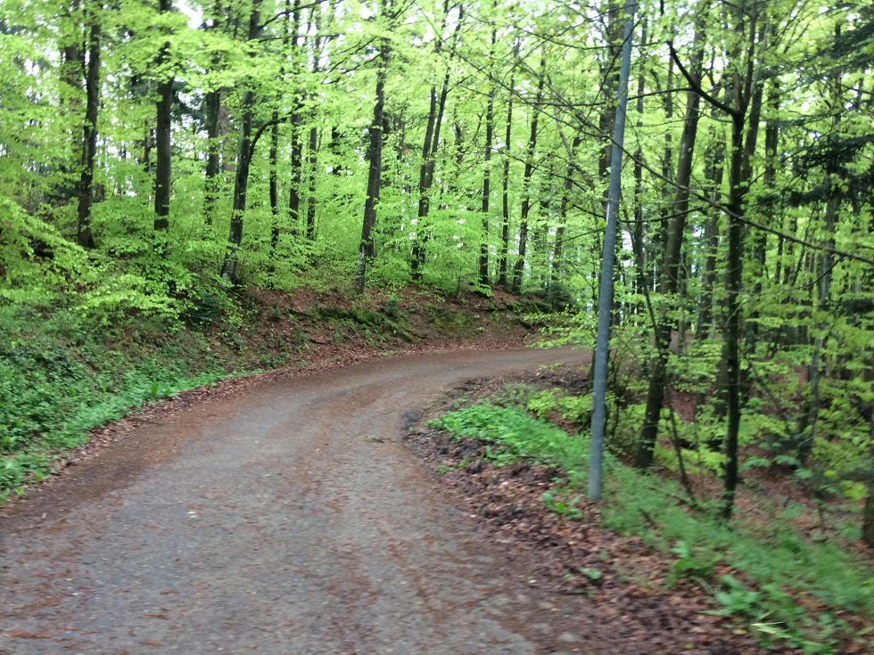 Walk Into My Story - Via degli Dei