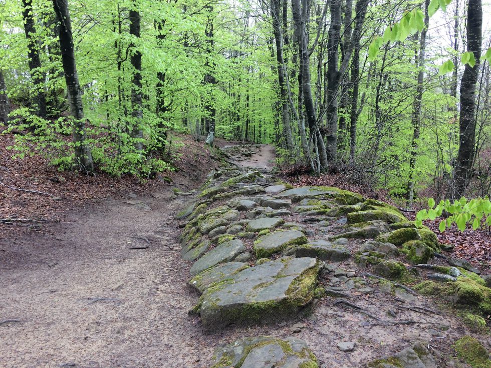 Walk Into My Story - Via degli Dei