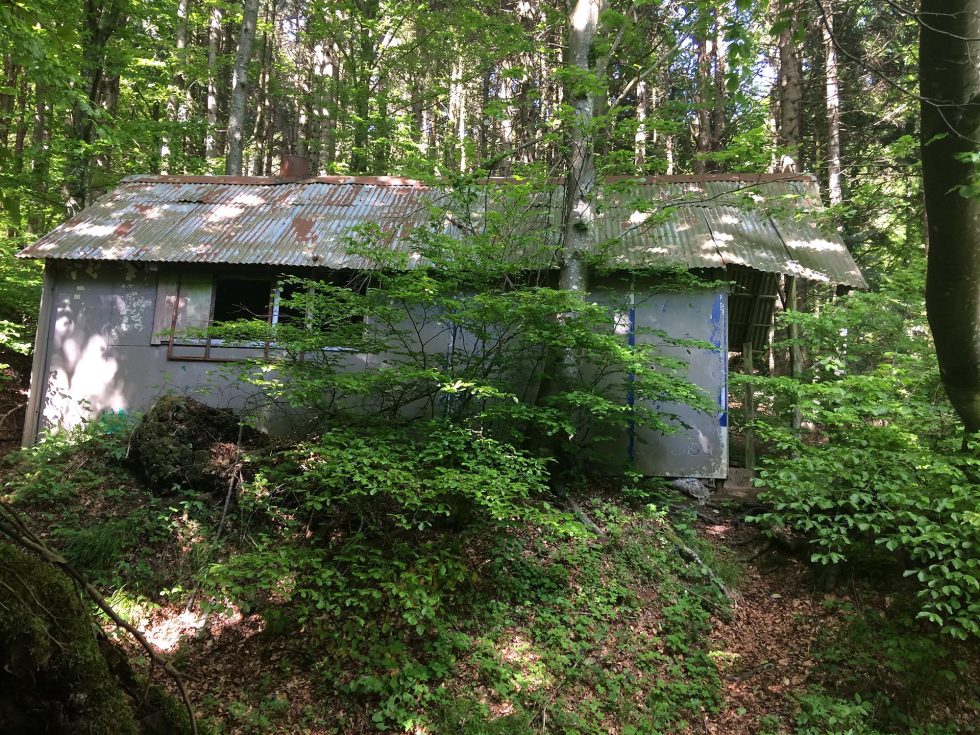 Walk Into My Story - Via degli Dei